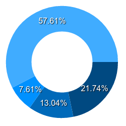 Pie chart infographic example